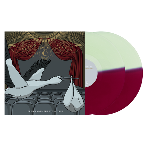 Fall Out Boy Vinyl