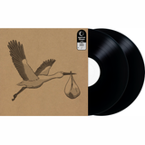 Fall Out Boy - From Under The Stork Tree