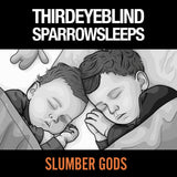 Third Eye Blind - Slumber Gods