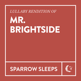 Lullaby Rendition of The Killers Mr. Brightside